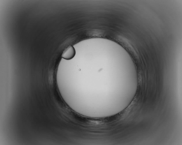 X0000093490167200710121019