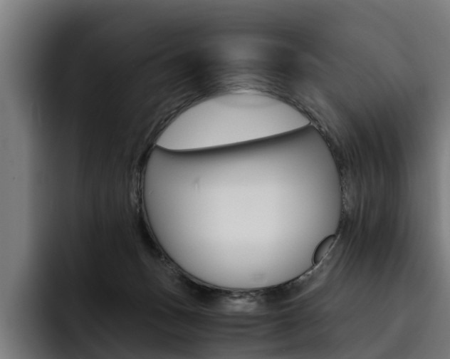 X0000093490175200710121019