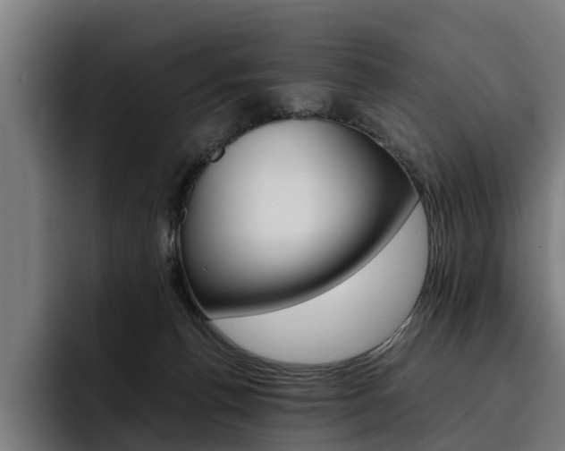 X0000093490176200710121019