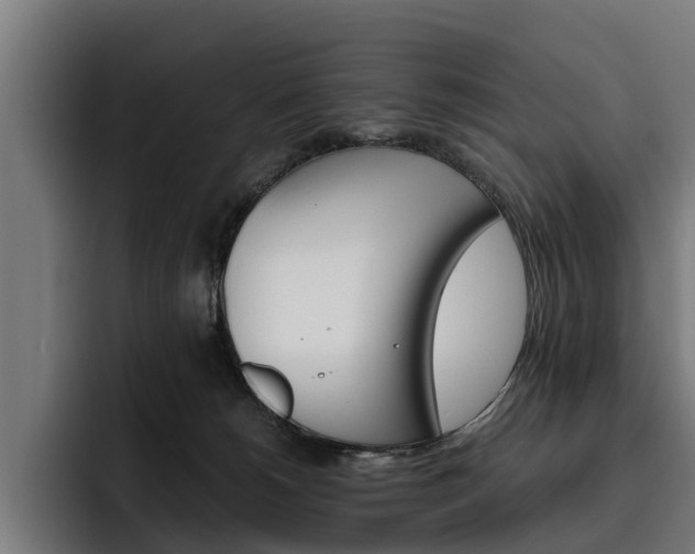X0000093490180200710121019