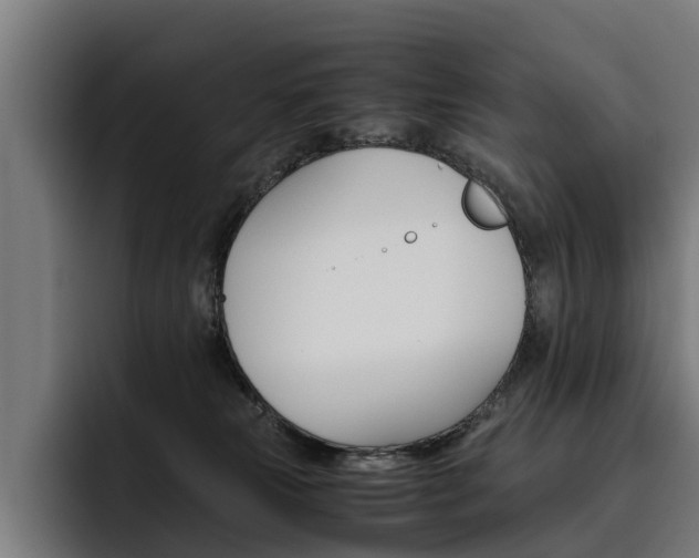 X0000093490181200710121019