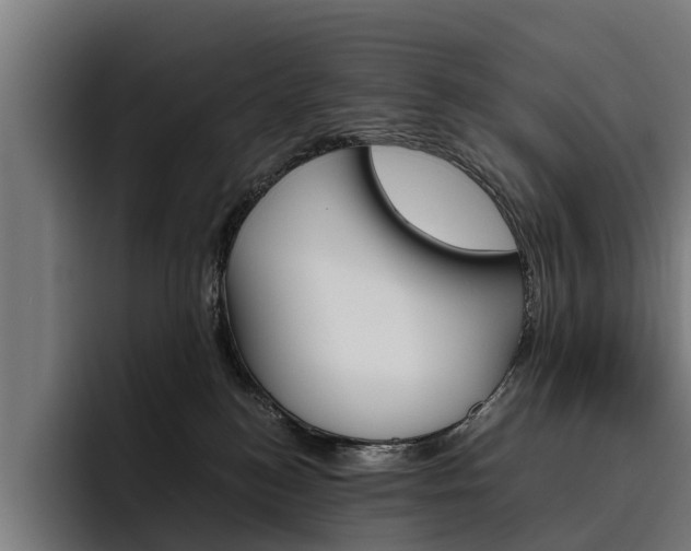 X0000093490184200710121019