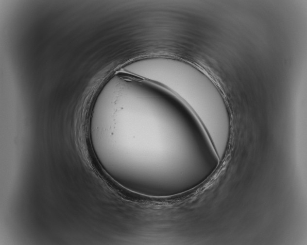 X0000093490193200710121019