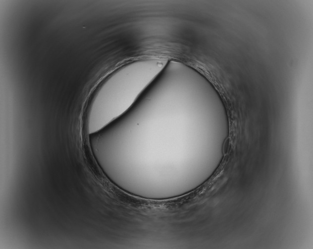 X0000093490194200710121019