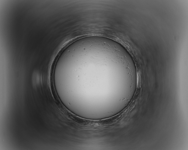 X0000093490195200710121019