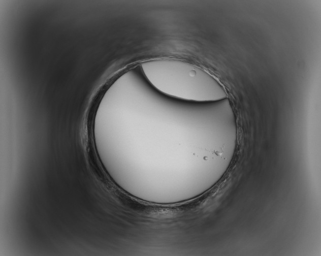 X0000093490198200710121019