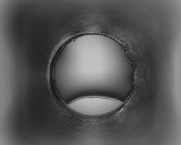 X0000093490200200710121019