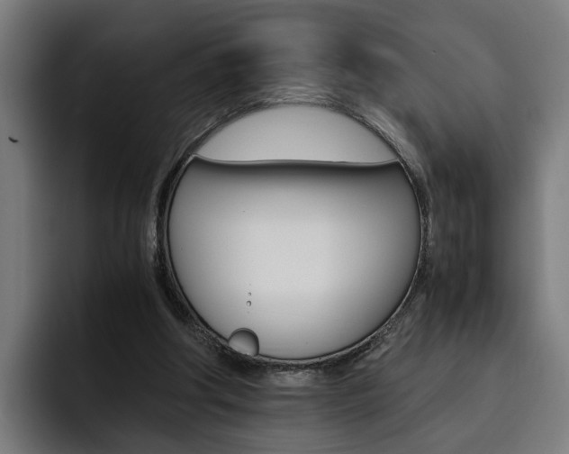X0000093490202200710121019