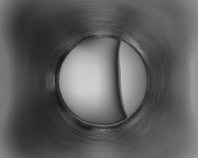 X0000093490205200710121019
