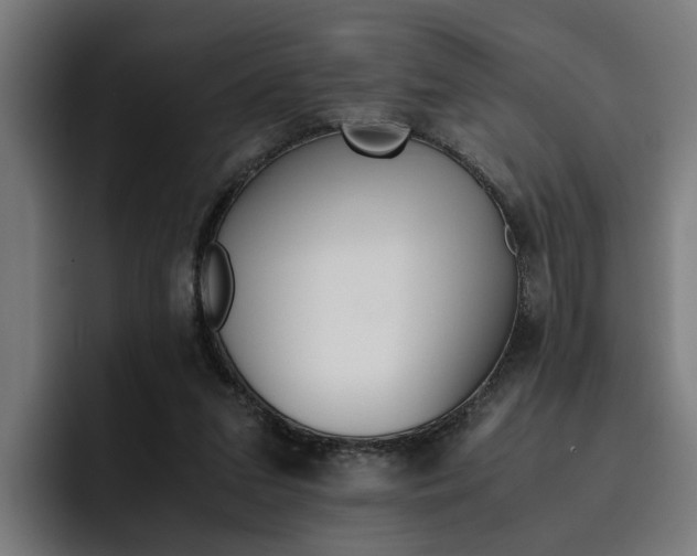 X0000093490207200710121019