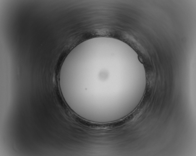 X0000093490213200710121019
