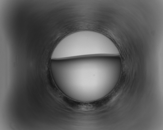 X0000093490215200710121019