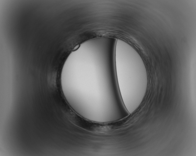 X0000093490217200710121019