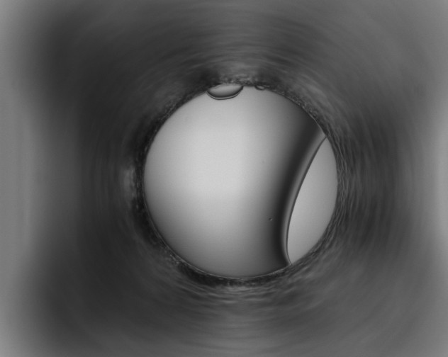 X0000093490224200710121018