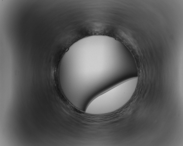 X0000093490225200710121018
