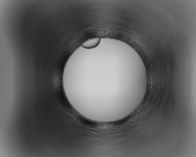 X0000093490226200710121018