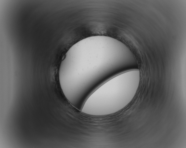 X0000093490229200710121018