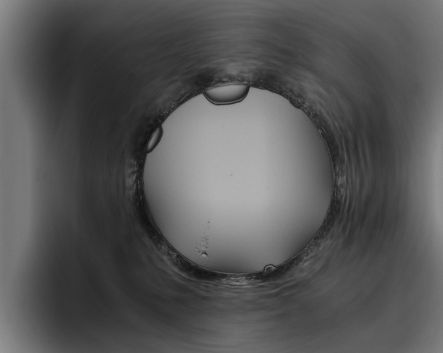 X0000093490231200710121018