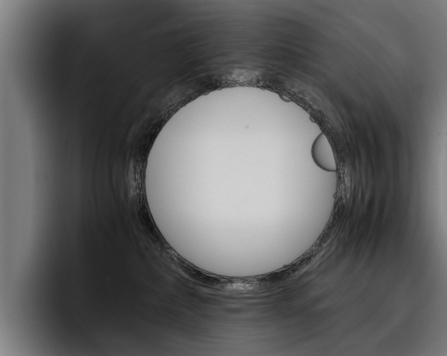X0000093490236200710121018