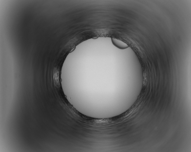 X0000093490238200710121018
