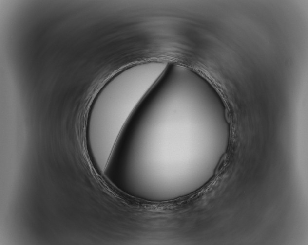 X0000093490241200710121018