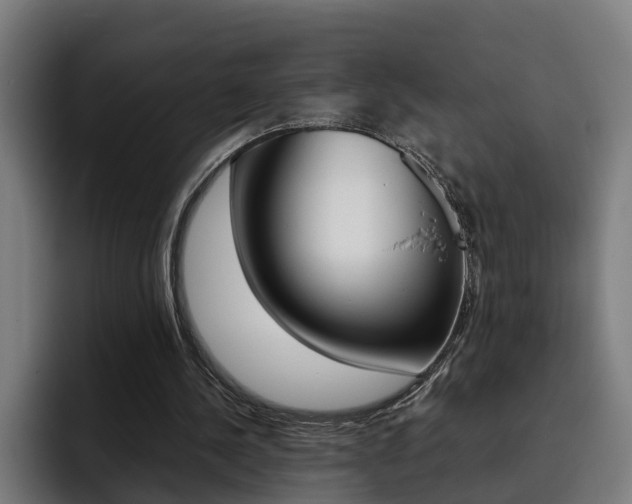 X0000093490244200710121018
