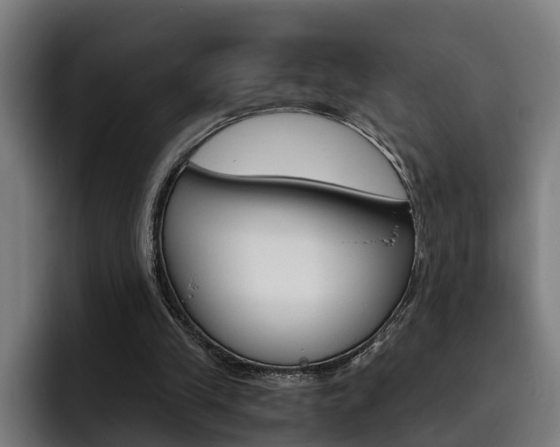 X0000093490245200710121018