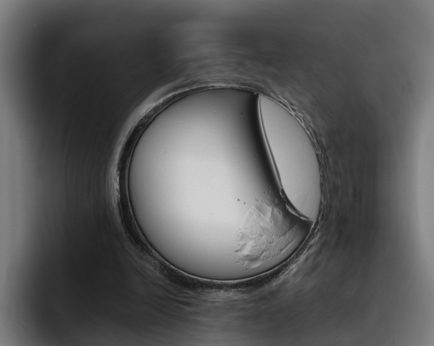 X0000093490246200710121018