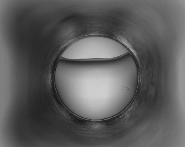 X0000093490249200710121018