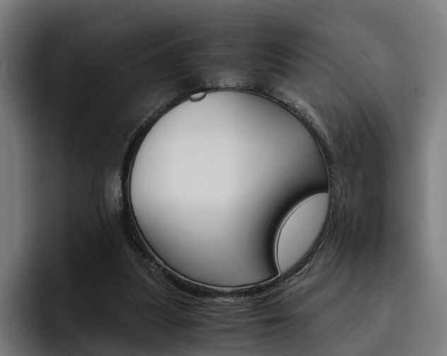 X0000093490251200710121018