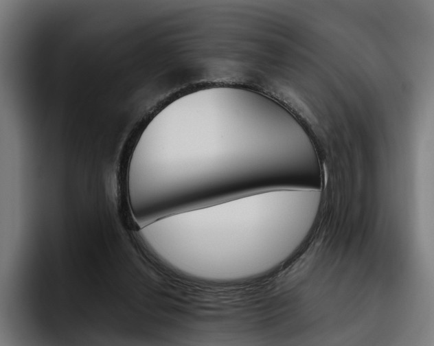 X0000093490252200710121018