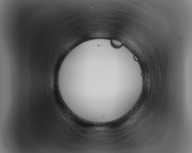 X0000093490255200710121018