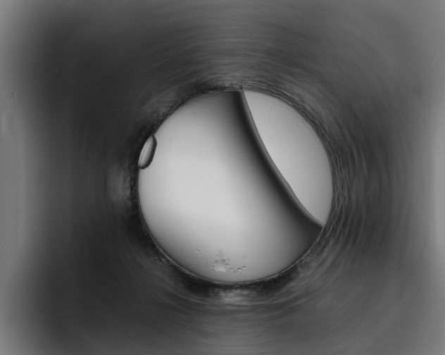 X0000093490268200710121018