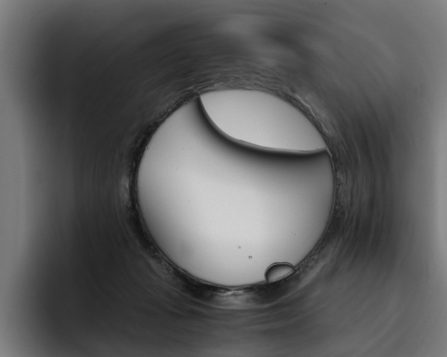 X0000093490269200710121018