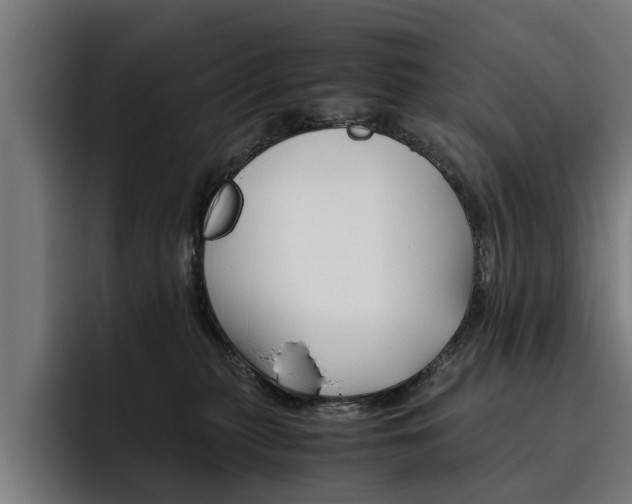 X0000093490279200710121018
