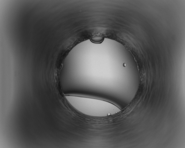 X0000093490280200710121018