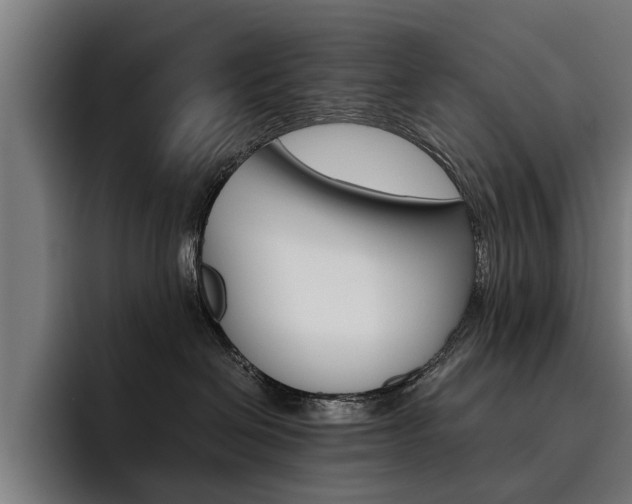 X0000093490286200710121018