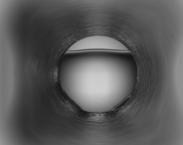 X0000093490288200710121018