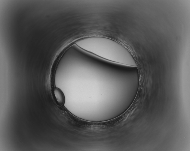 X0000093490292200710121018