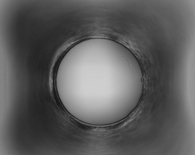 X0000093490294200710121018