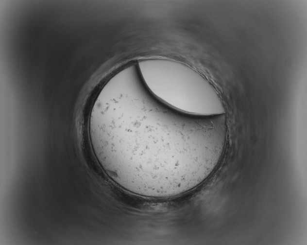 X0000093490295200710121018