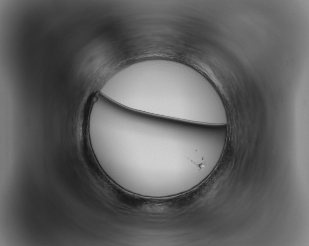 X0000093490299200710121018