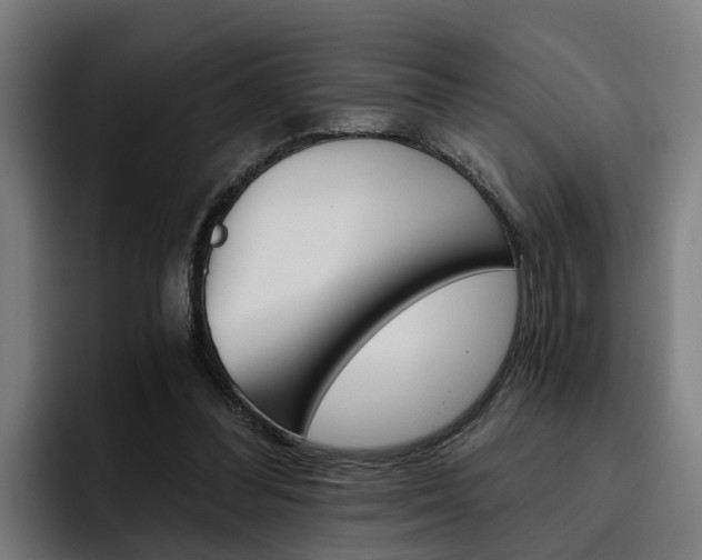 X0000093490300200710121018