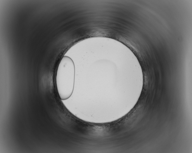 X0000093490302200710121018
