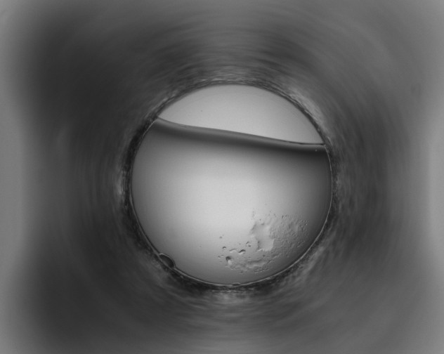 X0000093490305200710121017