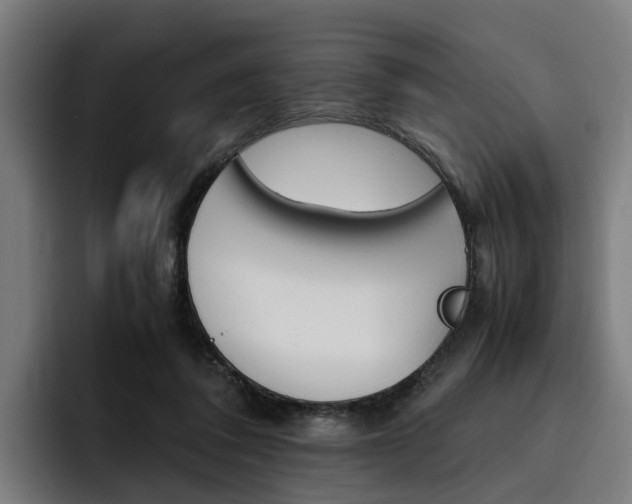 X0000093490308200710121017