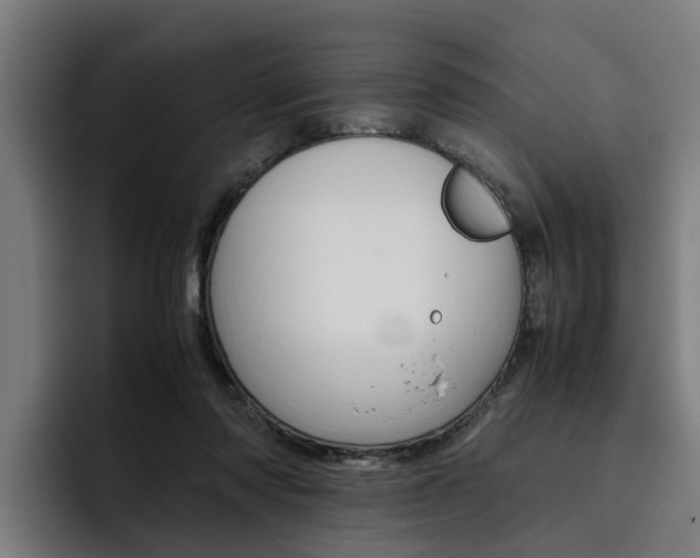 X0000093490310200710121017