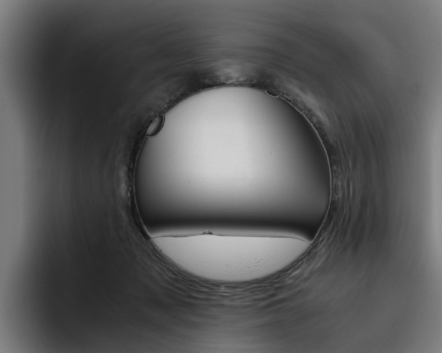 X0000093490317200710121017
