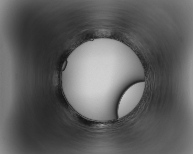 X0000093490323200710121017