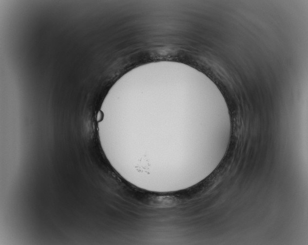 X0000093490324200710121017